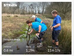 Limeslake Holdridge Woods