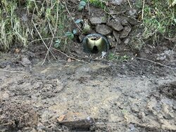  North Molton Highways